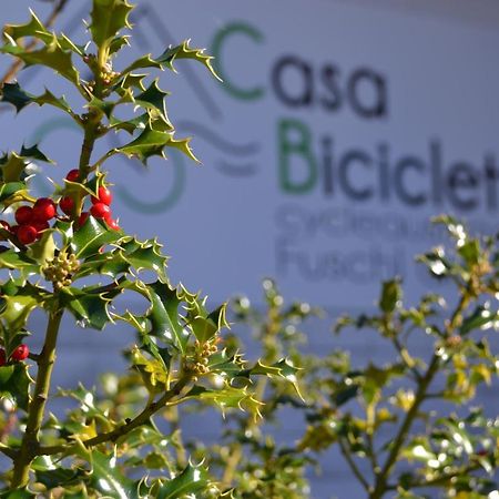 Casa Bicicletta Leilighet Fuschl am See Eksteriør bilde